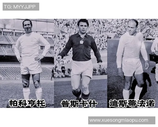 足球球星联盟：集结全球顶级球员，共同缔造足球历史的新篇章