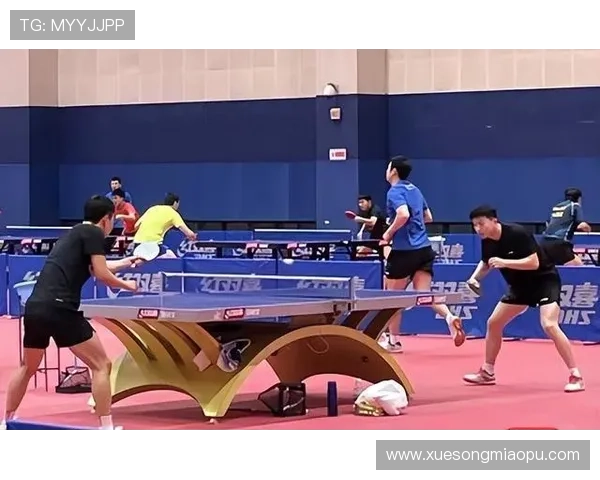 武汉乒乓球队耐力对比深度分析与训练策略探讨 武汉乒乓球队耐力对比深度分析与训练策略探讨