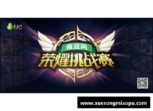 贵阳球员联盟：荣耀与挑战