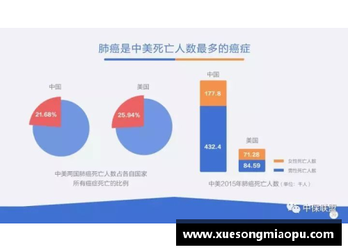球员数据查询：深度分析与比较