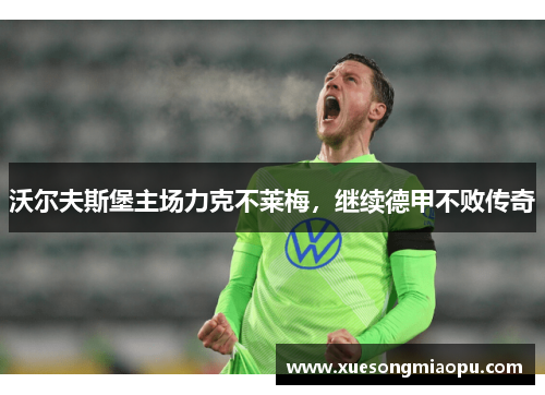 沃尔夫斯堡主场力克不莱梅，继续德甲不败传奇