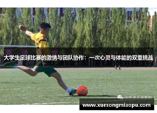 大学生足球比赛的激情与团队协作：一次心灵与体能的双重挑战
