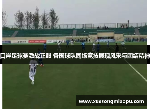 口岸足球赛激战正酣 各国球队同场竞技展现风采与团结精神