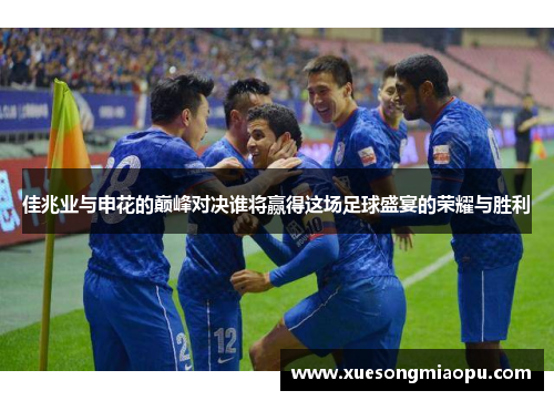 佳兆业与申花的巅峰对决谁将赢得这场足球盛宴的荣耀与胜利