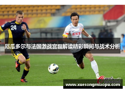 厄瓜多尔与法国激战宫磊解读精彩瞬间与战术分析