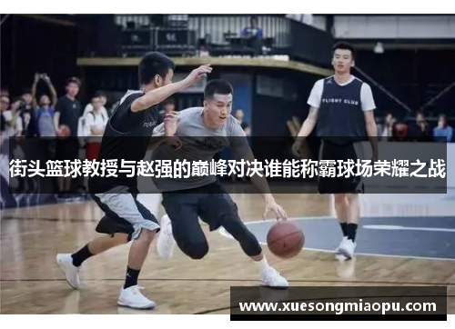 街头篮球教授与赵强的巅峰对决谁能称霸球场荣耀之战