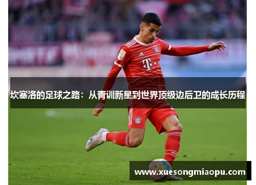 坎塞洛的足球之路：从青训新星到世界顶级边后卫的成长历程