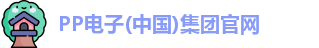 PP电子